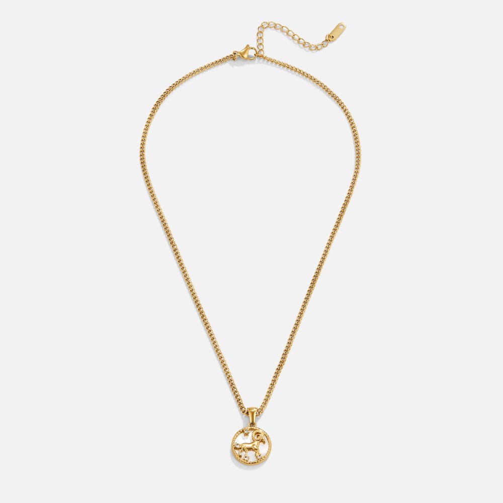 White Shell Zodiac Coin Necklace